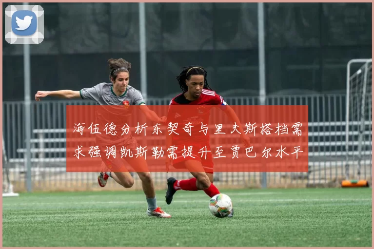 海伍德分析东契奇与里夫斯搭档需求强调凯斯勒需提升至贾巴尔水平